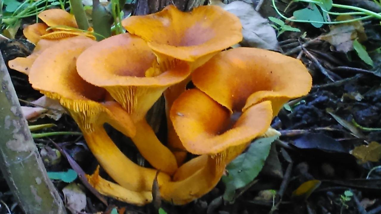 דירות סבורונטה Baha-Ammes מראה חיצוני תמונה