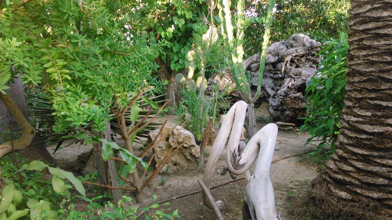דירות סבורונטה Baha-Ammes מראה חיצוני תמונה